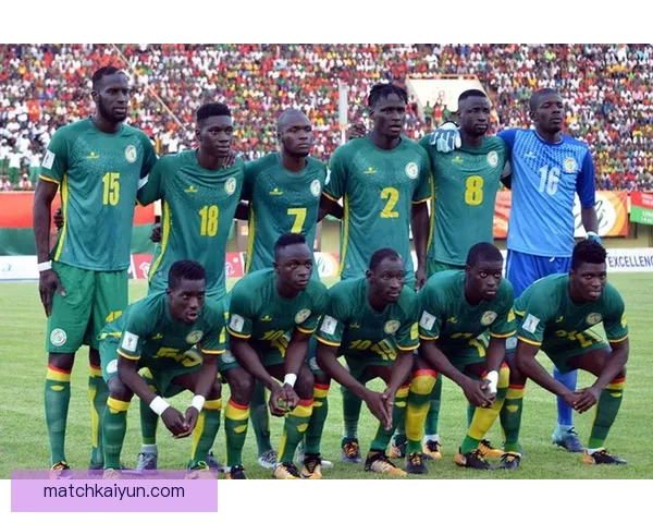 非洲足球发展计划推动足球基础设施提升与人才培养趋势分析